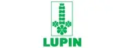 Lupin